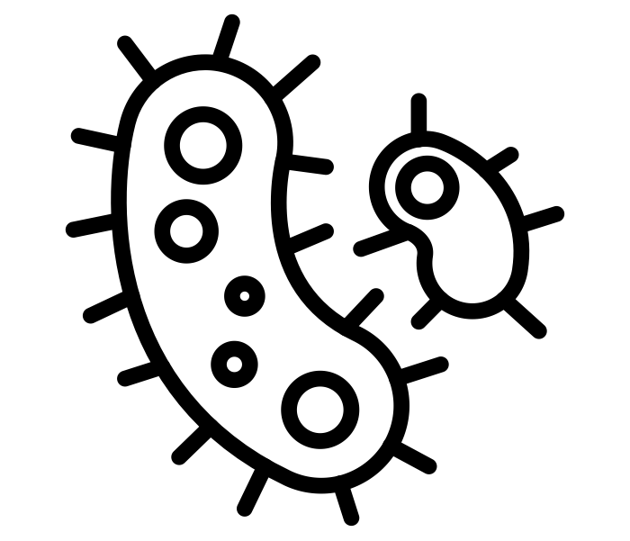 BacFITBase