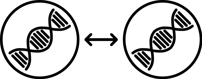 DualSeqDB